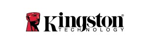 Kingston SSD Data Recovery