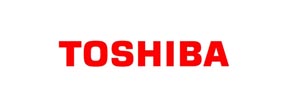 Toshiba Data Recovery